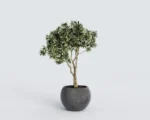Luno — изображение 4