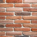 VECHEA ROMÂNEASCĂ — изображение 5